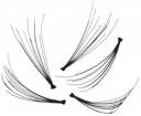 OOh! Lashes - Our cluster individual lashes come in short, medium, and long
